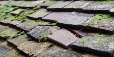 Chawston roof repair costs